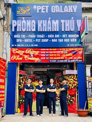 Khách sạn thú cưng Tân Bình: Gửi boss ở đâu khi đi du lịch?