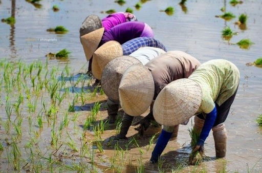Người lao động nặng thường xuyên phải đứng lâu, mang vác trong quá trình làm việc
