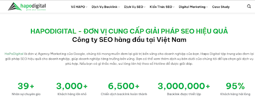 Gallery - Top 10 Công Ty SEO Uy Tín Việt Nam 2027 - image 5