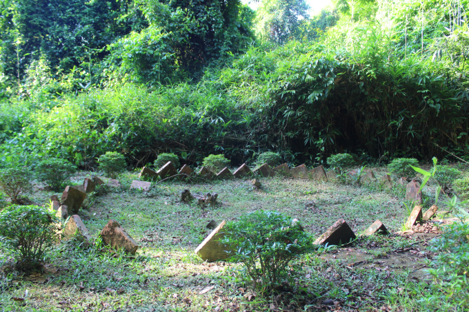 Vị trí nơi cây lim “hiến thân” đã từng sinh trưởng và phát triển suốt hơn 600 năm