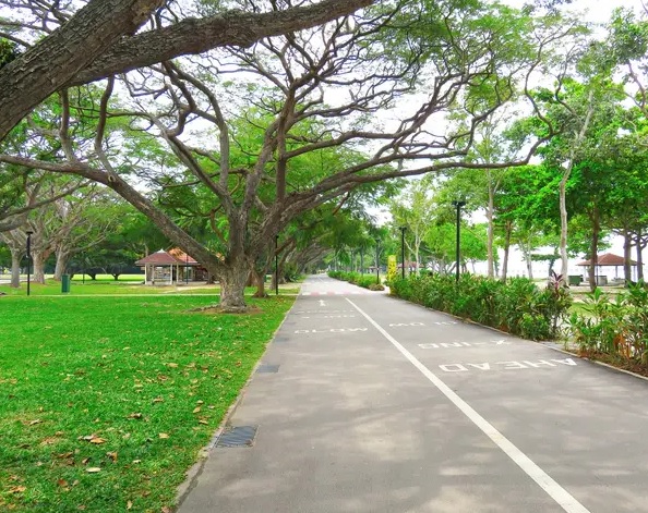 Công viên Bờ Đông của Singapore.