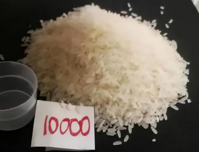 Giáo viên giao bài tập bắt nộp 10.000 hạt gạo khiến phụ huynh bức xúc. Ảnh minh họa: Sohu