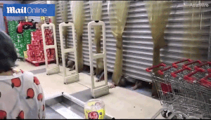 Tranh mua trứng hạ giá, người dân phải bò dưới sàn để vào siêu thị