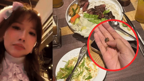 Vào nhà hàng nổi tiếng, cô gái sốc nặng khi phát hiện thứ kỳ lạ trong salad: là đệ nhất ẩm thực Pháp nhưng ở Việt Nam thì... lạ lắm