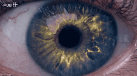 Màn thay da đổi thịt gây sốc nhất 2024