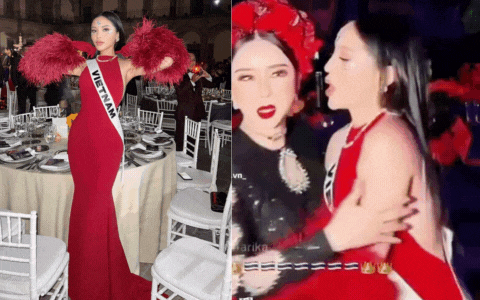 Kỳ Duyên bị Chủ tịch Miss Universe thái độ, xô đẩy khi chụp ảnh chung?