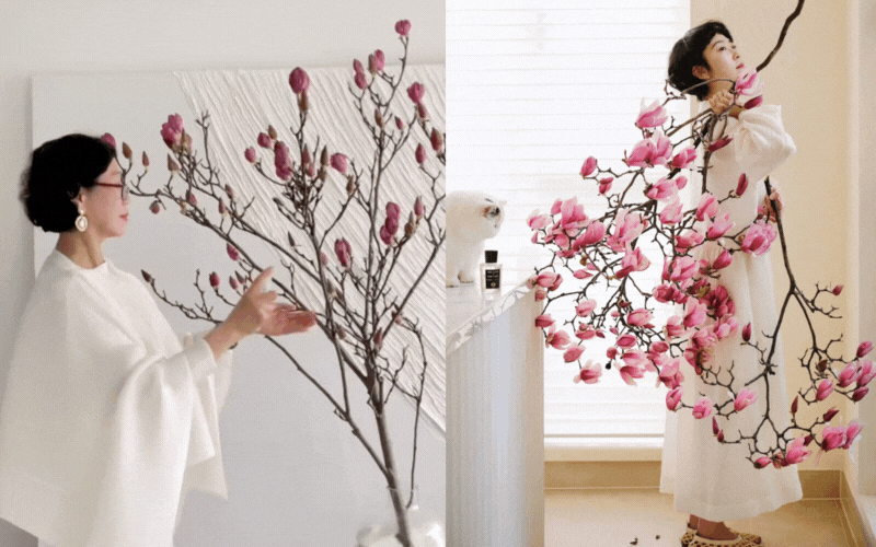 “Cành cây khô” giá bạc triệu khiến hội chị em phát sốt: Mộc lan chơi được cả tháng, nở rộ như tranh nếu biết chăm đúng cách