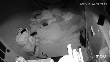 Cảnh tượng diễn ra trong phòng ngủ lúc 4h sáng khiến 1,4 triệu người nín thở theo dõi: Thái độ gây sốc của cô gái