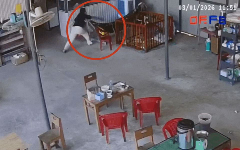 Clip 10 giây nổi da gà: Rắn vắt vẻo trên võng của con nhỏ, phản xạ của người mẹ gây sốc