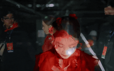 Nữ ca sĩ được Cục Nghệ thuật Biểu diễn cảm ơn: Ra 2 album định hình nhạc Việt, tham gia loạt sự kiện cấp quốc gia