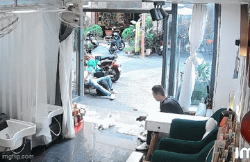 Phẫn nộ clip người đàn ông đá chó cảnh trước cửa tiệm spa ở Đà Nẵng