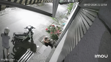 Người phụ nữ tìm mọi cách trộm mèo dù chủ nhà đã mở cửa: Khoảnh khắc giận 'run người'