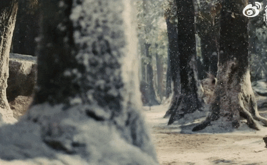 'Vị thần' đứng sau phim Trung Quốc hay nhất hiện tại: Sở hữu 'đại pháp nặn mặt', thẩm mỹ vuốt ve thị giác