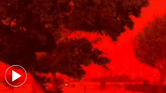 Khung cảnh rùng rợn như ngày 'tận thế', điều gì đang xảy ra trên bầu trời nhiều nơi ở Australia?