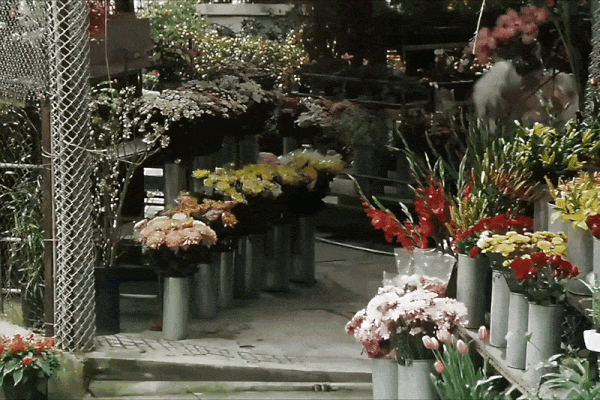 23 năm trước, đúng ngày Cá tháng 4, ông trời đã lấy lại món quà cuối cùng dành cho nhân gian