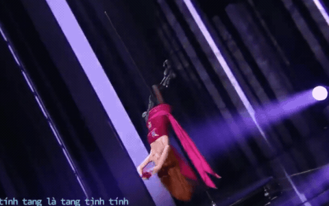 Mỹ nhân Việt tài năng chấp cả dàn sao Hoa ngữ: Sang Trung Quốc múa cột, lộn nhào thu hút, gia thế trâm anh không ai bằng