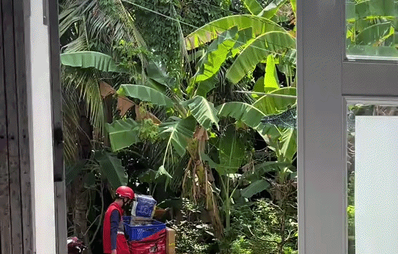 Shipper thái độ ra mặt, liệng gói hàng đánh bộp: Cả trăm lời khuyên rate 1 sao nhưng khách không dám