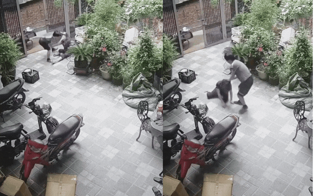 Chồng giật tóc, đấm đá vợ dã man, con nhỏ chứng kiến cảnh tượng đau lòng: Đoạn clip khiến cộng đồng mạng phẫn nộ