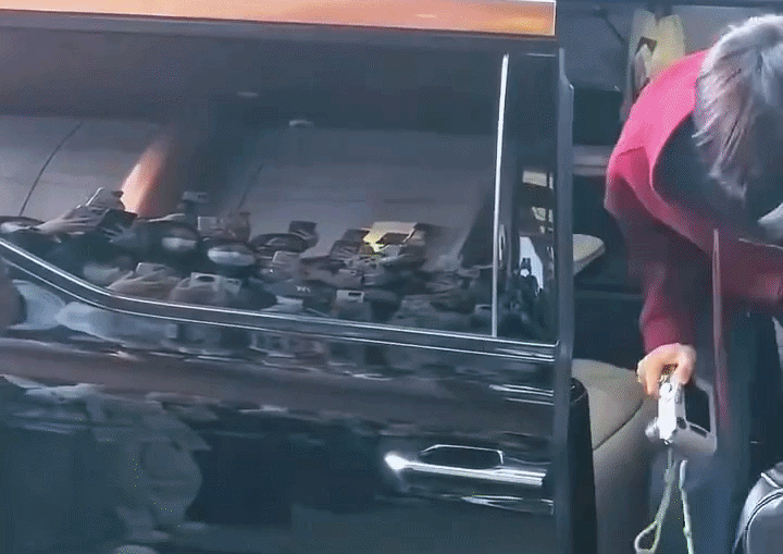 Mặt mộc giả dối của Trương Lăng Hách