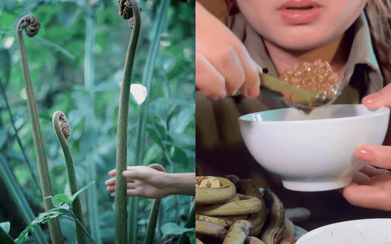 Thức quà mộc mạc chốn thâm sơn bỗng 'gây bão' cõi mạng: 'Dương xỉ cổ đại' kén người nhìn nhưng nếm thử là ghiền quên lối về!