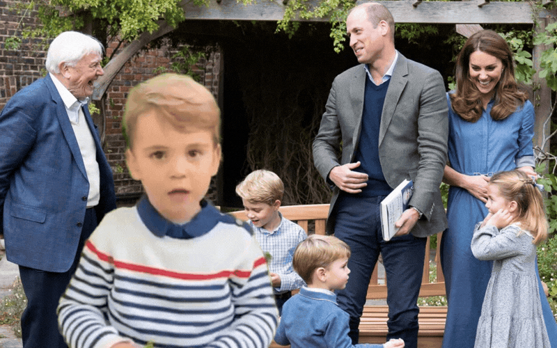 Giọng nói đáng yêu của Hoàng tử Louis trong video gửi Sir David Attenborough gây sốt mạng xã hội