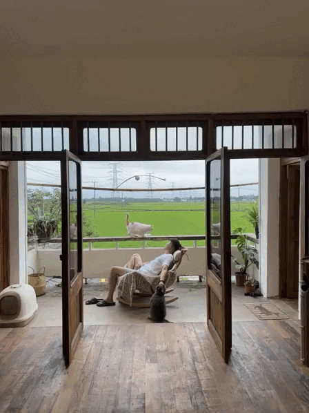 Chàng trai 9x sửa nhà khiến cả cõi mạng chú ý: View cánh đồng chill không thể tả, nhìn muốn bỏ phố về quê