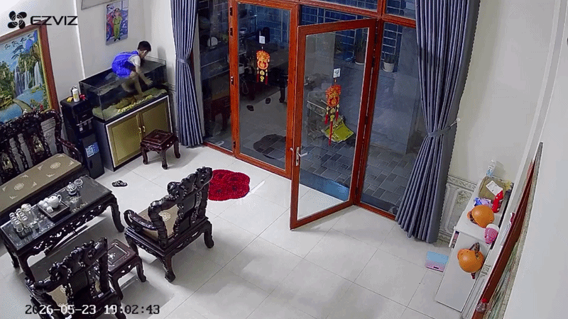 'Tái mặt' phát hiện con nhà hàng xóm trèo vào bể bắt cá: Chủ nhà tiết lộ chuyện phía sau