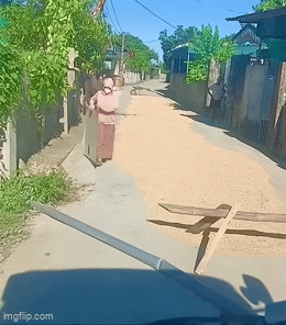 'Khóa' 2 đầu đường không cho ô tô qua để phơi lúa, công an làm việc với người vi phạm