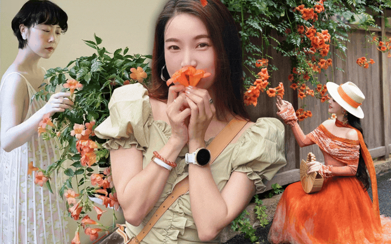Lời khuyên cho những người thích trồng hoa lăng tiêu