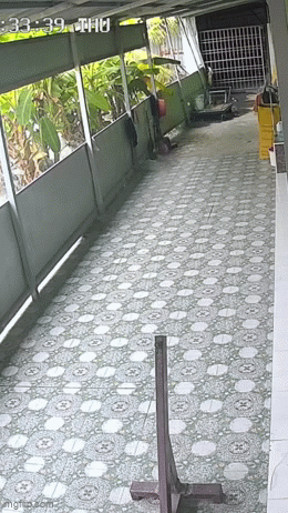 Bé trai khiến thành hồ bơi bị sập, nước tràn vào nhà bên, cuốn trôi đồ đạc: Chủ nhà mất 3 ngày khắc phục hậu quả