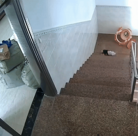 Clip khiến nhiều mẹ đứng tim: Em bé dùng xe tròn tập đi bị ngã lăn xuống 13 bậc cầu thang