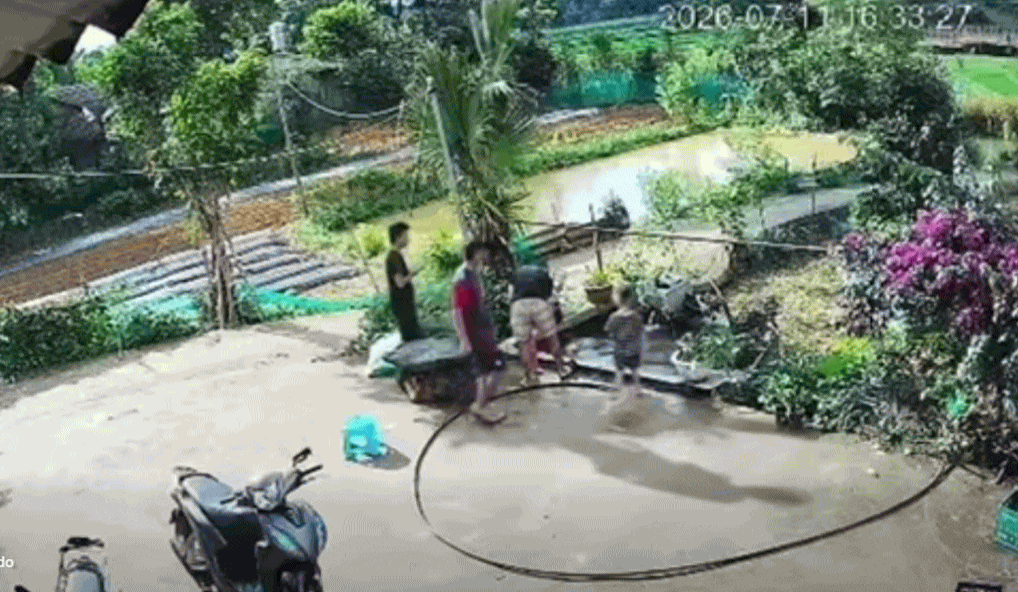 Clip thót tim: Em bé trượt chân ngã xuống bể cá của gia đình, nếu người lớn không có nhà thì không biết điều tồi tệ gì sẽ xảy ra
