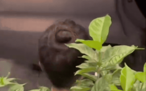 Clip cũ của Á hậu Phương Nhi sau bữa tối bất ngờ được chia sẻ trở lại