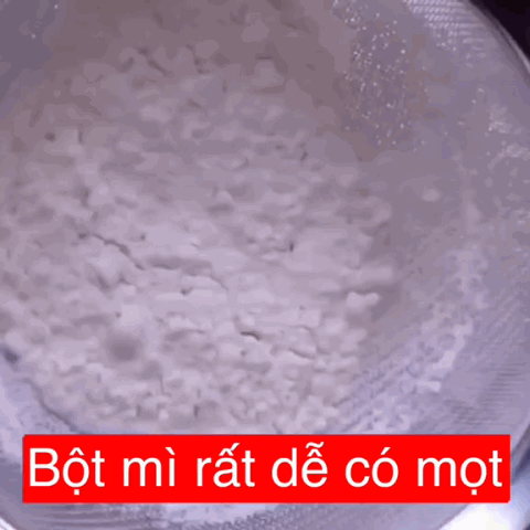 Thấy sâu mọt trong bột mì nên làm gì đầu tiên?