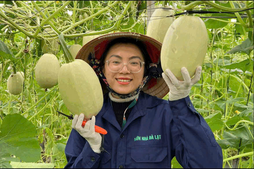Chị Lương Thị Yến Vân, Giám đốc HTX Vườn nhà Đà Lạt.
