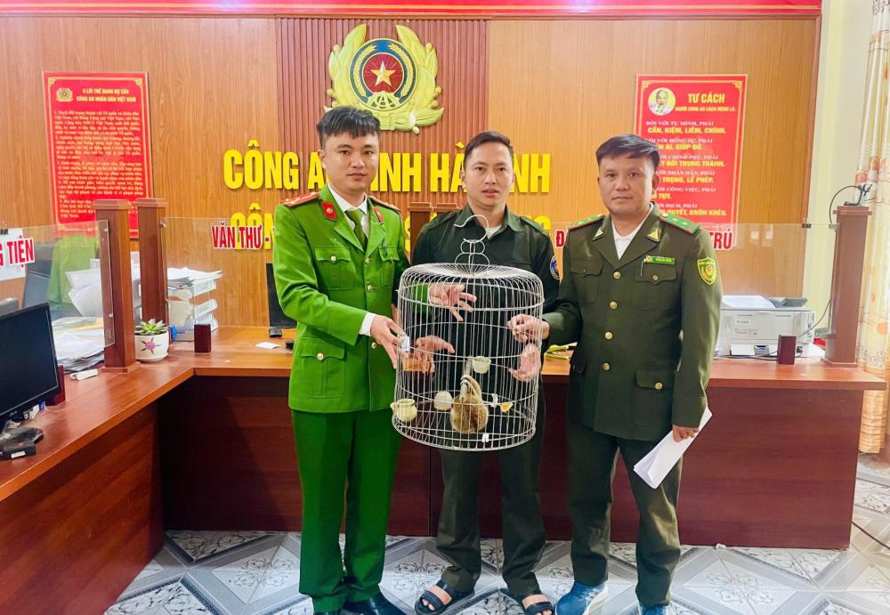 Công an xã Sơn Giang đã phối hợp với Hạt Kiểm lâm Hương Sơn tiến hành lập hồ sơ, hoàn thiện các thủ tục cần thiết để tiếp nhận cá thể Cu li