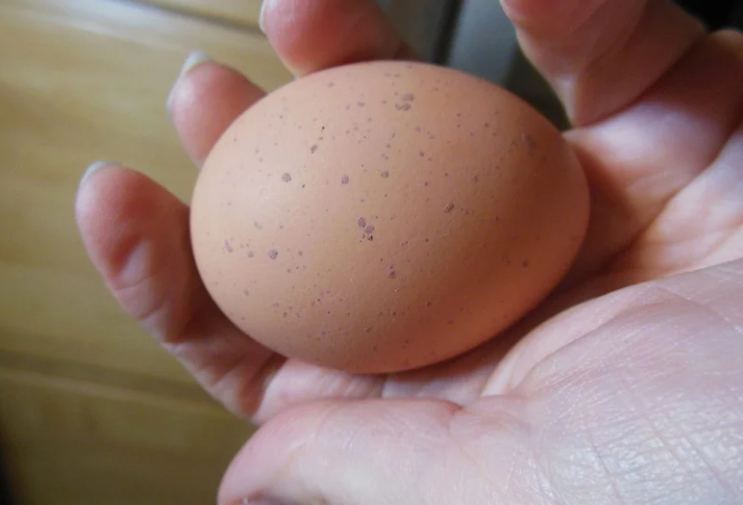 Đi chợ thấy 4 loại trứng này thì giá rẻ mấy cũng đừng mua: ăn vào đau bụng, ngấm ngầm hại thân