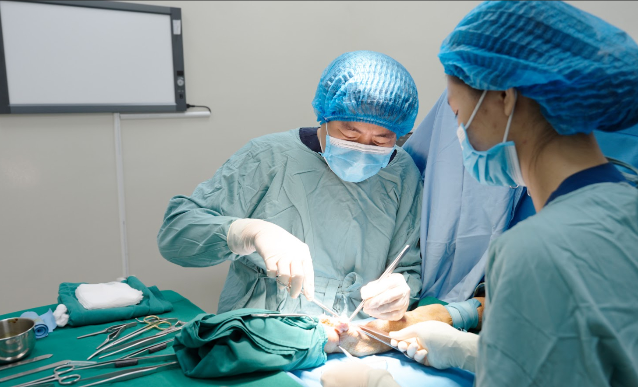 Chạy thận 15 năm, cánh tay “phình như bóng”: Bác sĩ phát hiện nguyên nhân ít ai ngờ