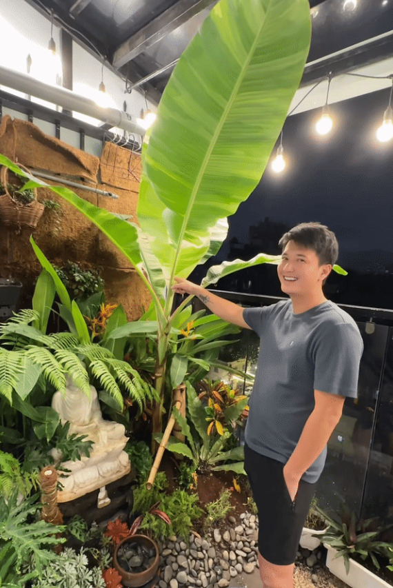 Huỳnh Anh chăm sóc ban công giúp vợ