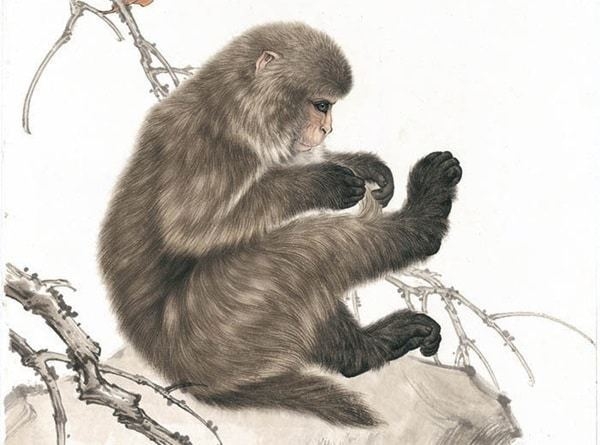 4 con giáp sắp đón tin vui từ tháng 2 Âm lịch: Sự nghiệp thăng tiến, tiền tài như ý, dễ đạt đỉnh cao vận may