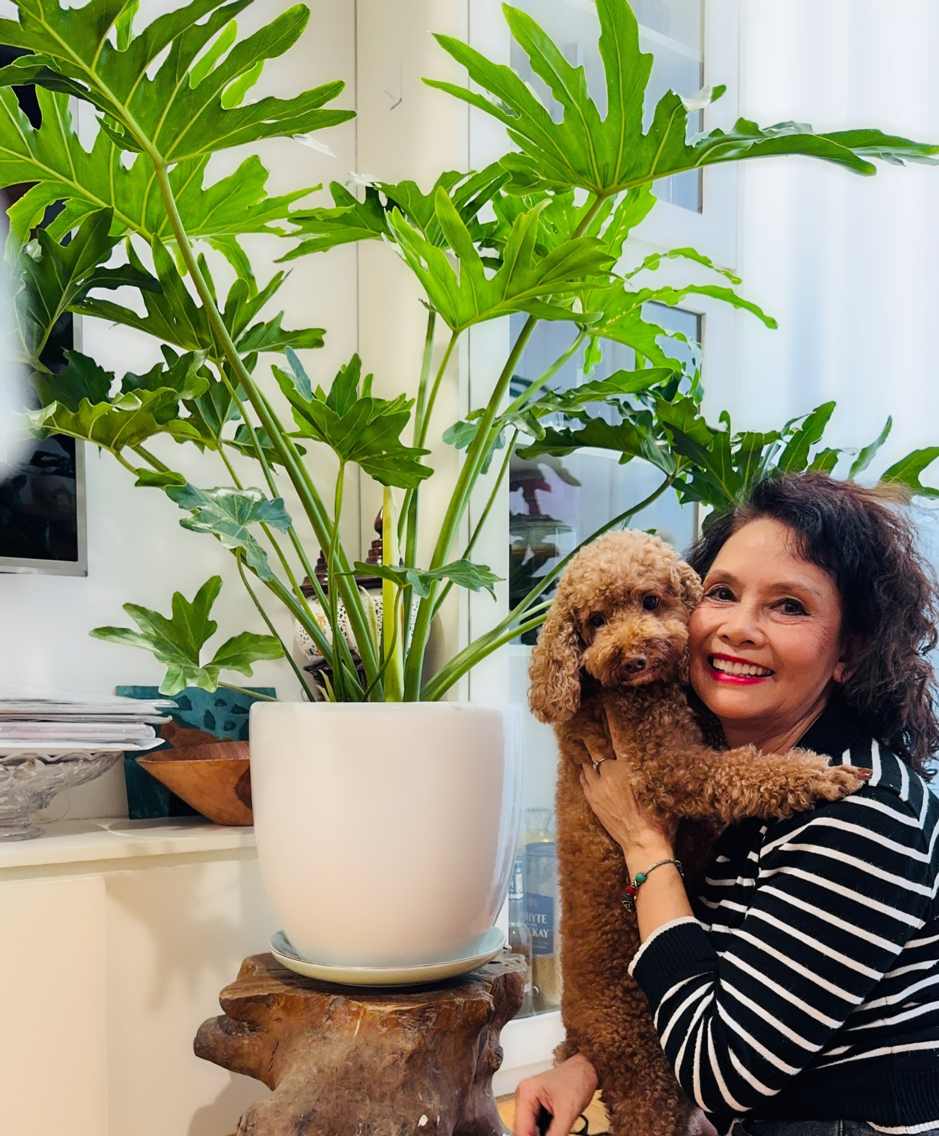 Nữ nghệ sĩ tận hưởng cuộc sống và đam mê du lịch