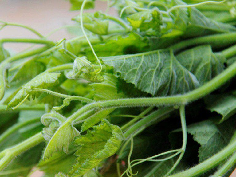 4 loại rau ở Việt Nam là “kho sắt xanh”, bổ máu hơn cả thịt bò: Top 1 tốt cho cả tim và dạ dày, nhiều người chê không ăn