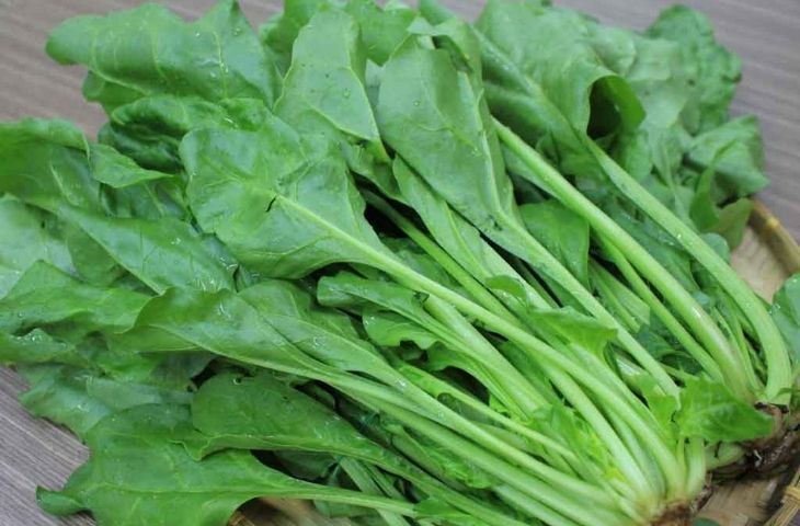 4 loại rau ở Việt Nam là “kho sắt xanh”, bổ máu hơn cả thịt bò: Top 1 tốt cho cả tim và dạ dày, nhiều người chê không ăn