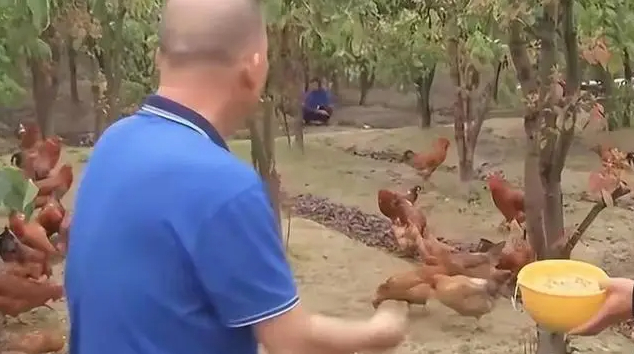 Phát hiện người đàn ông kiếm hơn 382 tỷ đồng/năm nhờ lá cây