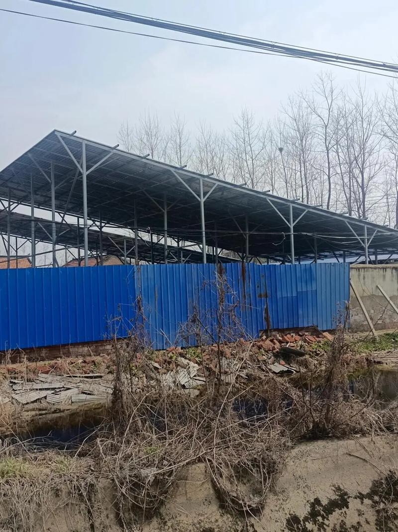 Cho thuê 200m² đất bỏ không để kiếm 115 triệu đồng, người đàn ông lỗ gấp 6 lần, còn bị cơ quan chức năng xử phạt