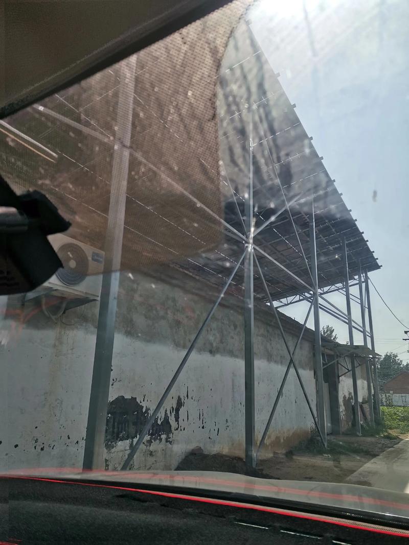 Cho thuê 200m² đất bỏ không để kiếm 115 triệu đồng, người đàn ông lỗ gấp 6 lần, còn bị cơ quan chức năng xử phạt