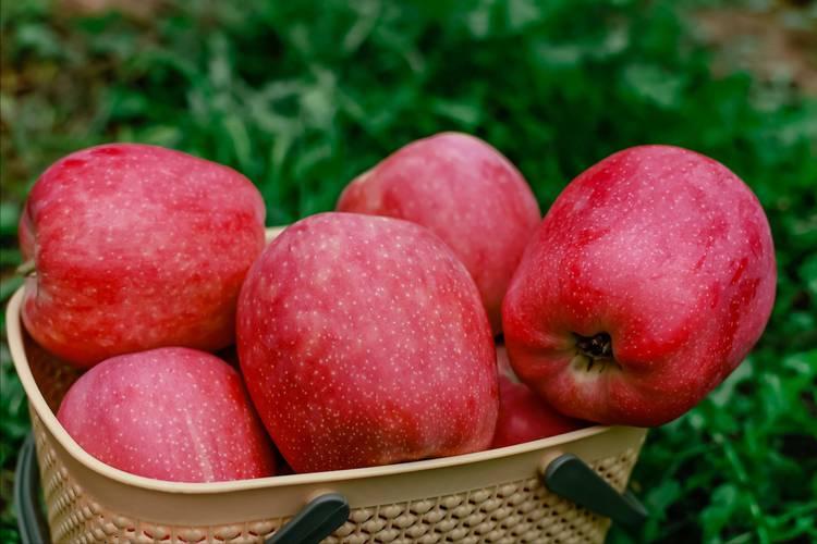 5 loại quả ngọt lịm nhưng lại giúp kiểm soát đường huyết, ngăn ngừa tiểu đường: Việt Nam rất sẵn