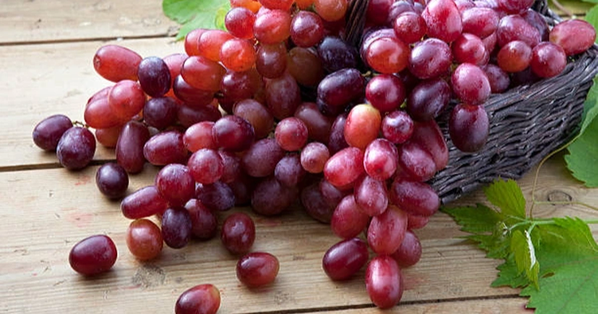 5 loại quả ngọt lịm giúp bổ thận, chống viêm: Có loại đang vào mùa, bán đầy chợ Việt nhưng nhiều người bỏ qua