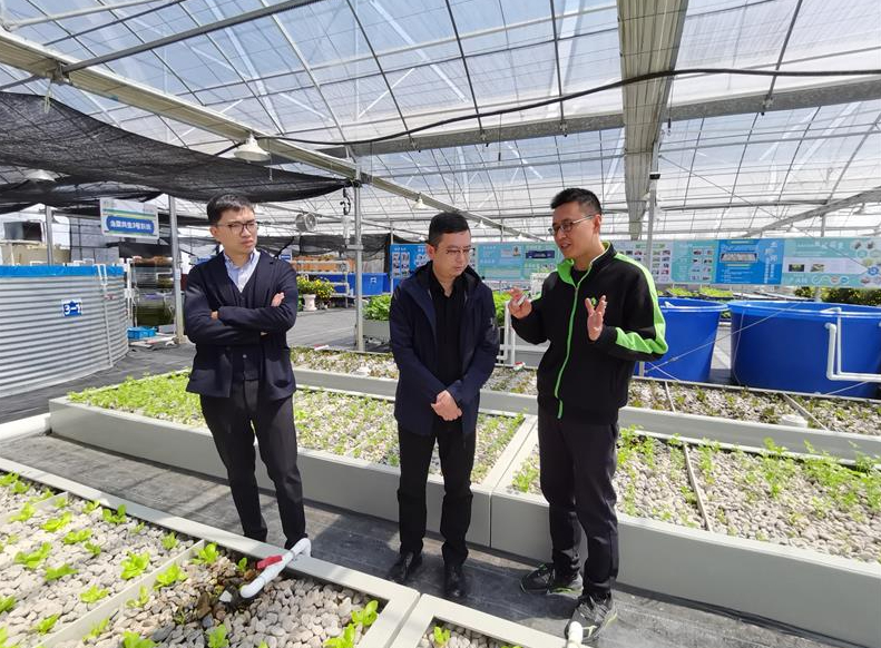 Phát hiện người đàn ông kiếm hơn 139 tỷ đồng/năm nhờ mô hình “trồng rau không cần bón phân, nuôi cá không cần thay nước”