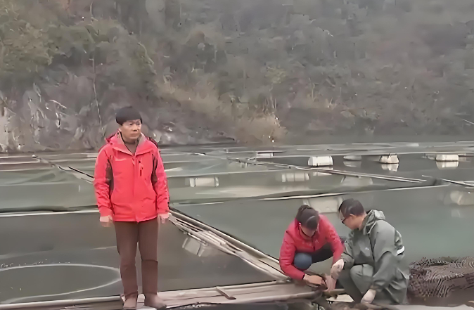 Phát hiện người đàn ông kiếm hơn 774 tỷ đồng nhờ nuôi loài cá cho trứng quý